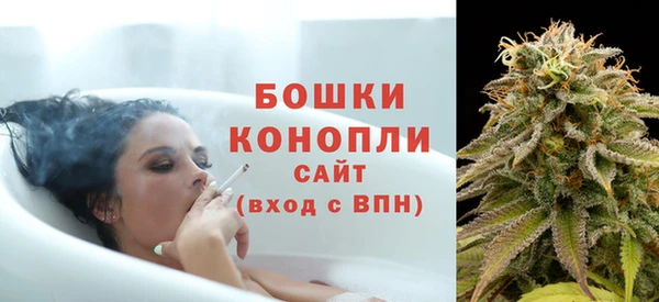 индика Баксан