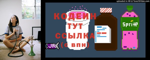 индика Баксан