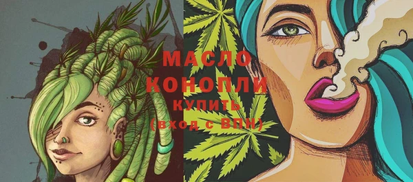 индика Баксан
