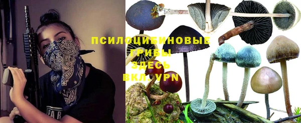 индика Баксан